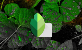 Your Comprehensive Guide to Snapseed for iPhone